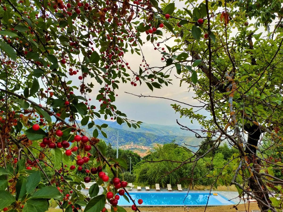 Agriturismo Borgo Biaia Camporgiano Екстериор снимка